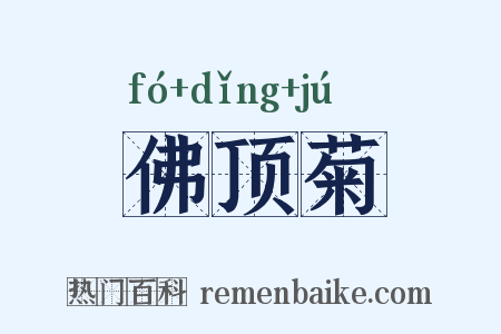 佛顶菊是什么意思的图片
